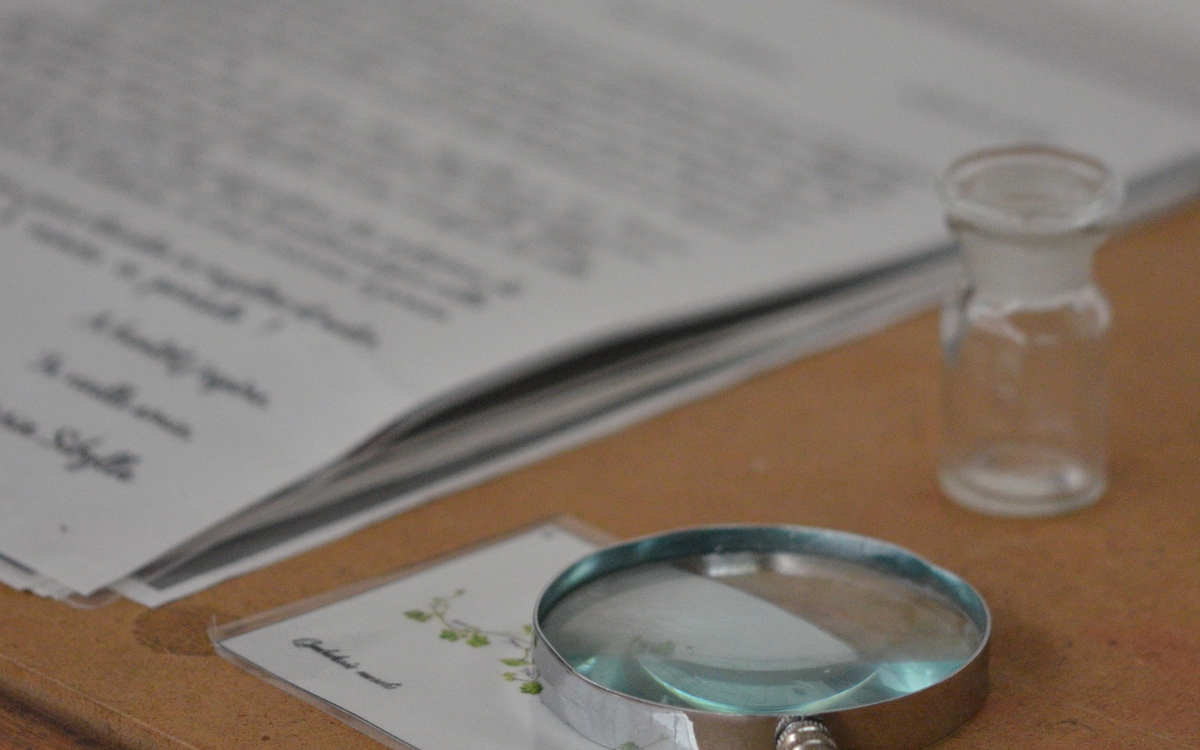 Escape Game « Enigma Botanica » du 2 au 6 mars 2026 Maison Paris Nature Paris Escape Game "Enigma Botanica" du 2 au 6 mars 2026 Maison Paris Nature Paris