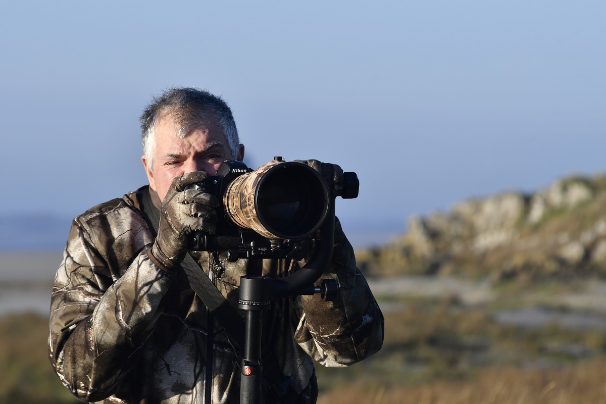 Espèces discrètes la photo pour débutant