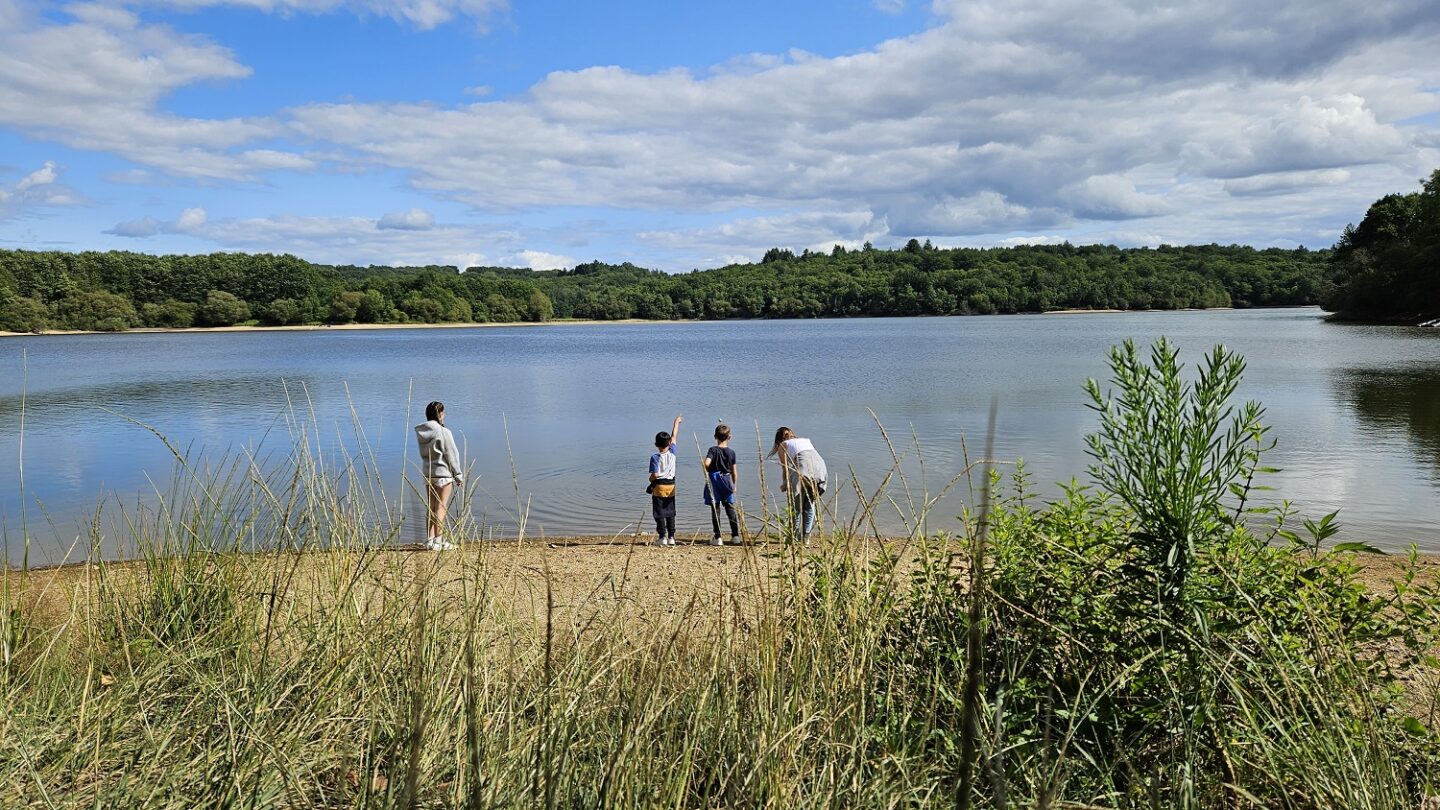 Eté actif Libellules