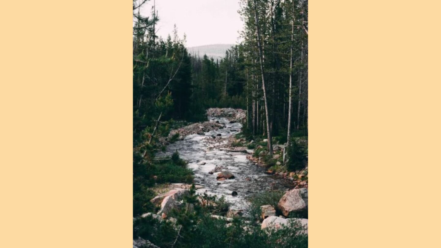 Excursion Carnets d’aventures 8 Rue du Claud Fardeix Trélissac 2026-02-22 Excursion Carnets d'aventures