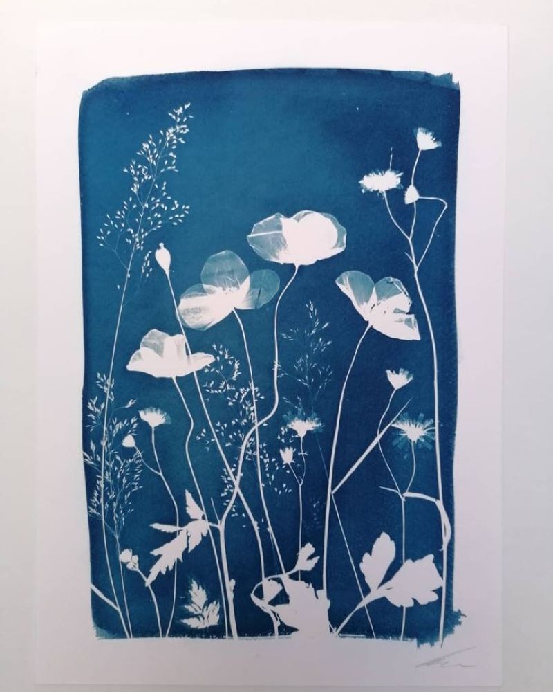 Expérience de Destination je créé mon cyanotype avec les fleurs du Jardin Christian Dior