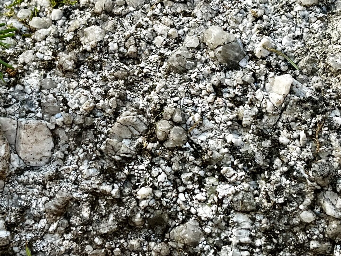 Expertise de cailloux