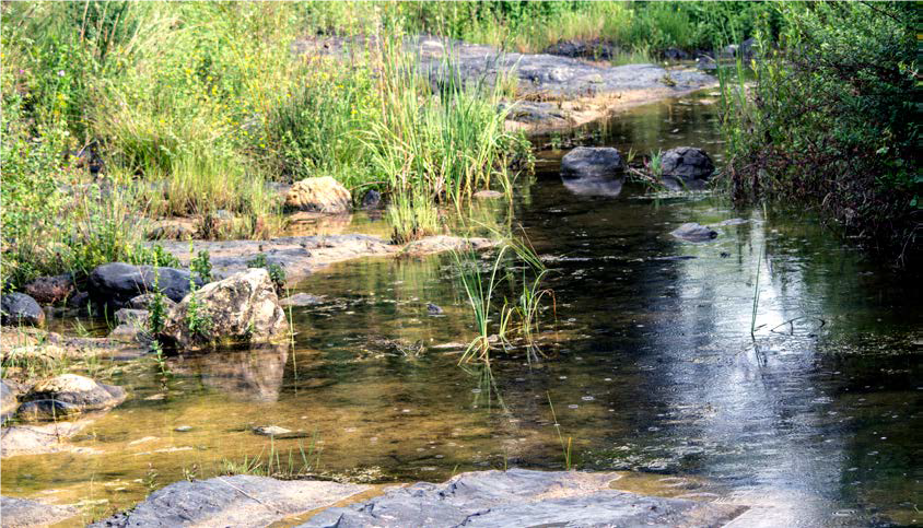 EXPLORATION SENSIBLE LES PIEDS DANS LA BOYNE #2