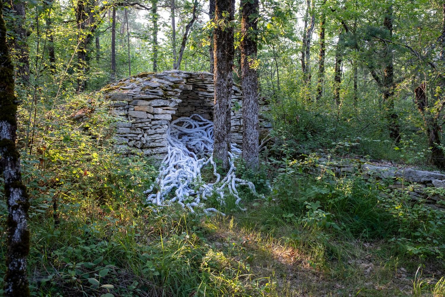 Exposition Art sur le Causse