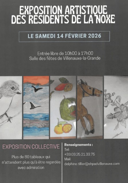 Exposition Artistique des résidents de la Noxe à la salle des fêtes de Villenauxe-la-Grande