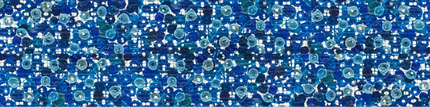 Exposition Conscience Plastique