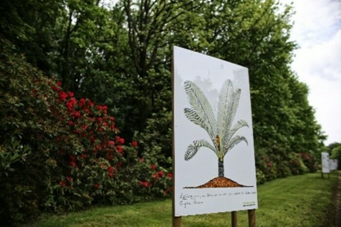 Exposition de carnets de croquis du botaniste Francis Hallé au Jardin des Plantes Jardin des Plantes