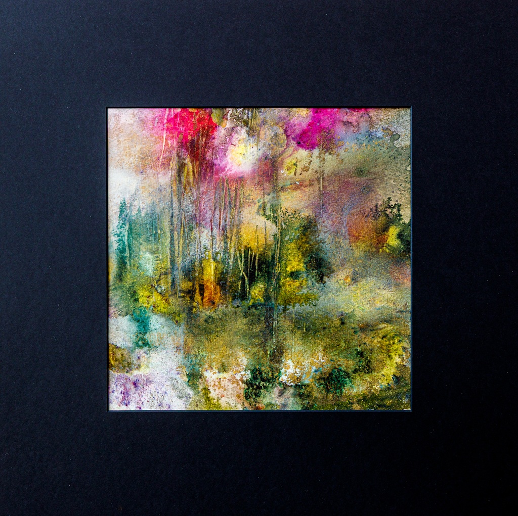 Exposition de photographies