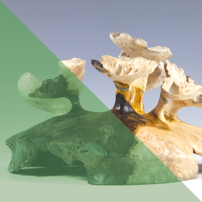 Exposition de Renaud Robin La Mansarde Veyrier