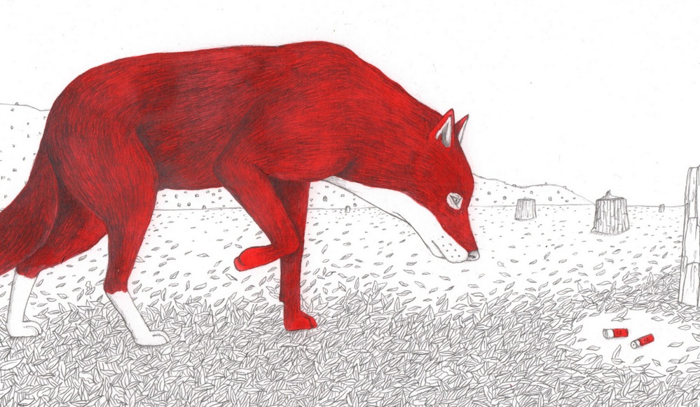 Exposition “Énigme en forêt” de l’auteur illustrateur Mathias Friman