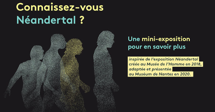 Exposition Néandertal Médiathèque l'Echappée Les Sorinières