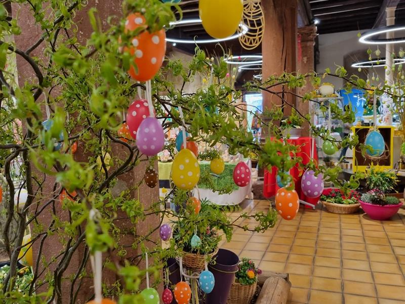 Exposition Pack floral