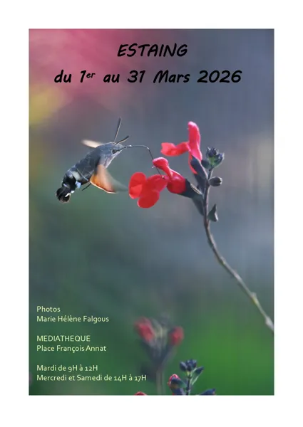 Exposition photos de Marie-Hélène Falgous