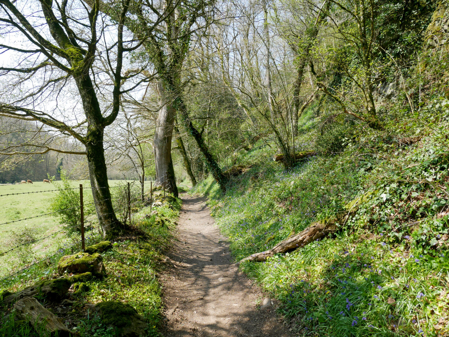 Faites la chasse aux déchets !