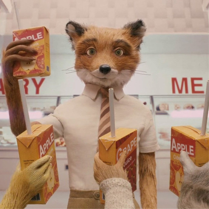 Fantastic Mr Fox Capellia