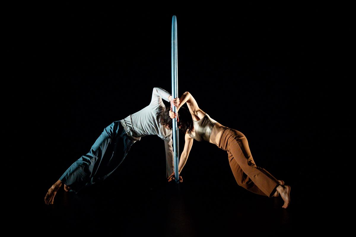 Festival SPRING In difference