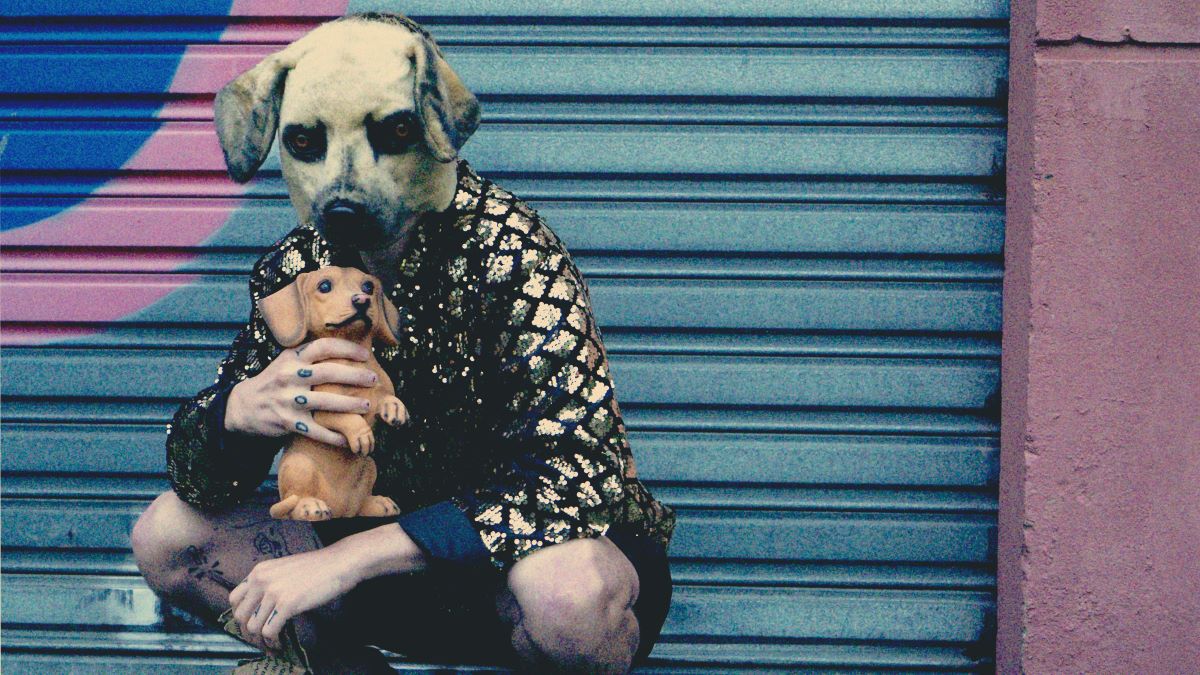 Festival SPRING Vilain chien