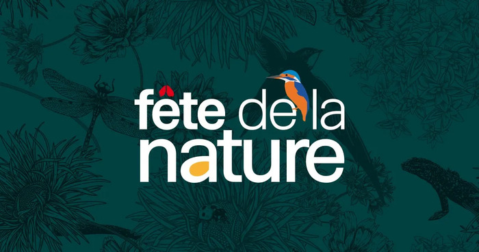 Fête de la nature les reptiles
