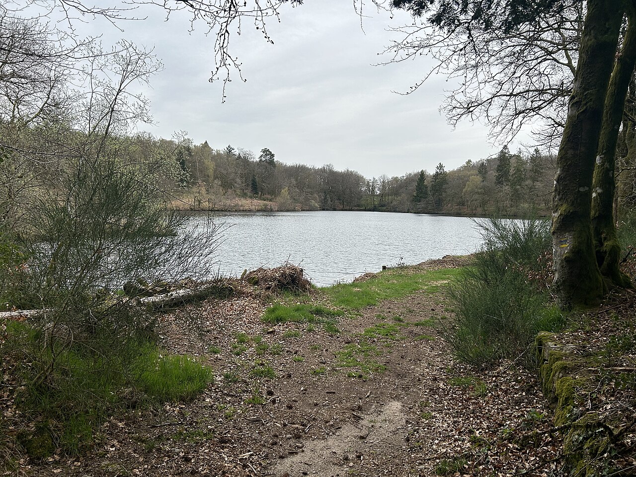 Fête de la nature Trop Sauvages