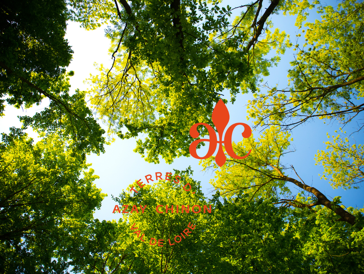 Fête des plantes Château de l'Islette