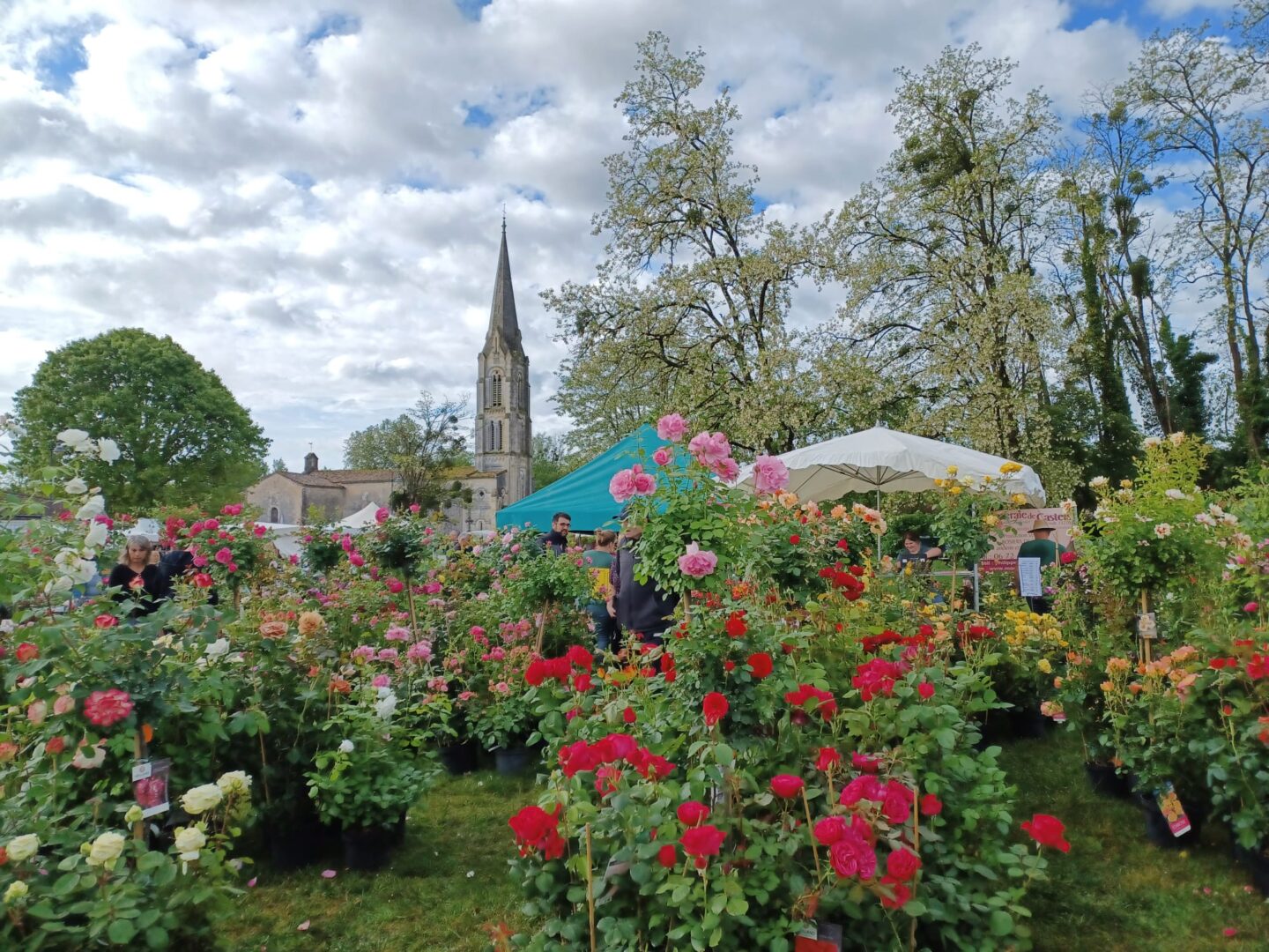 Fête des Plantes de Saucats Saucats Saucats 2026-05-03 Fête des Plantes de Saucats