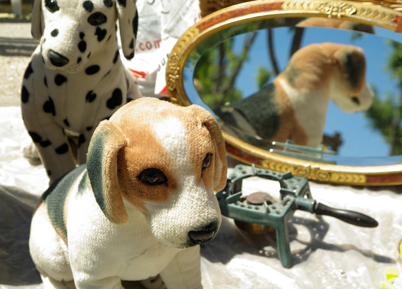 Fête patronale à Saint Saturnin Saint-Saturnin 2026-08-23 Fête patronale à Saint Saturnin