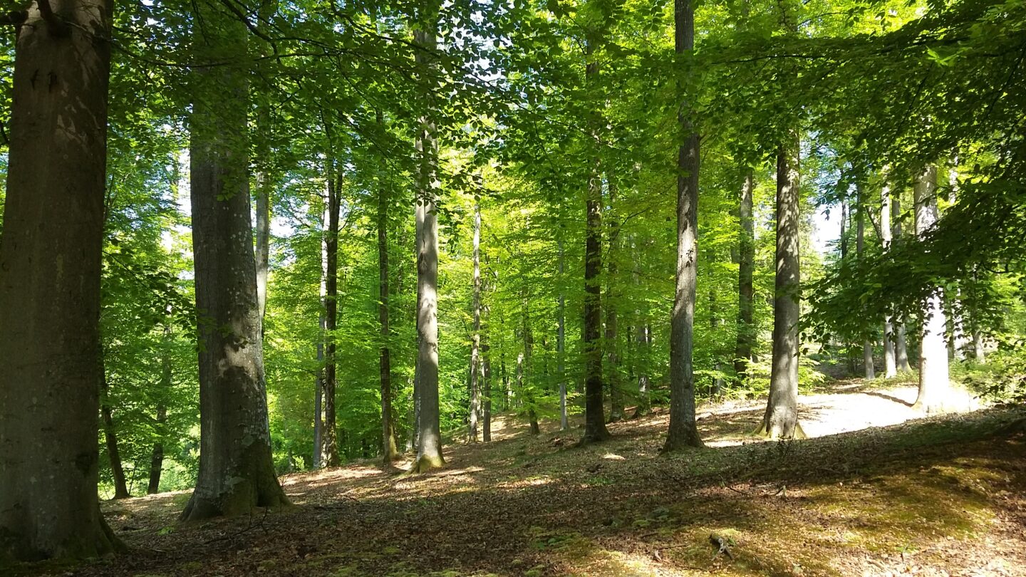 Finies les vacances !