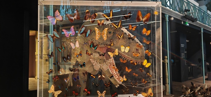 Fives / Atelier - Crée ton portrait de dino ! Médiathèque de Fives Lille