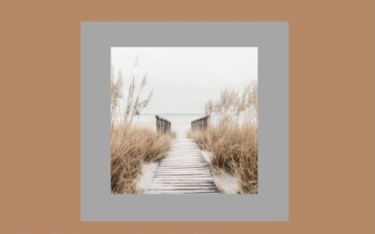 FOCUS – thème : Arbres La Vagabonde Paris