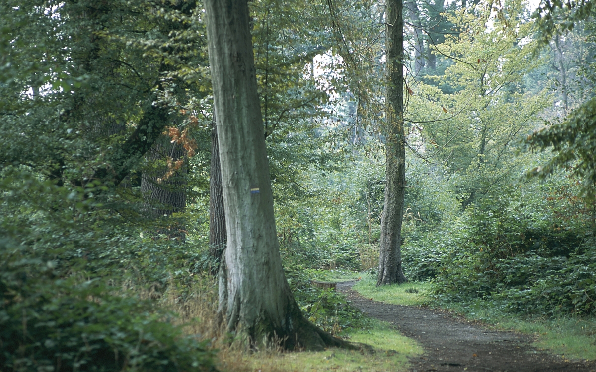 Forêts en scène 2026 Académie du climat Paris