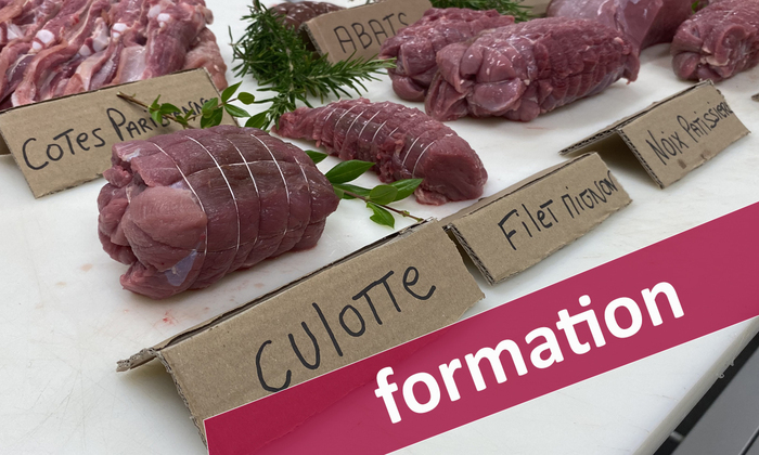 Formation : connaissance de la carcasse et de sa découpe Chambre agriculture de Région Corse