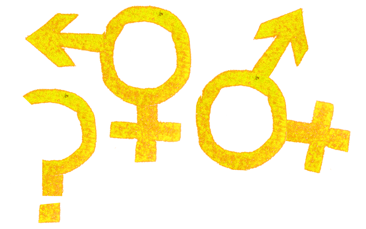 Formation "Le genre en question : approche interculturelle" Association ethnoArt Paris