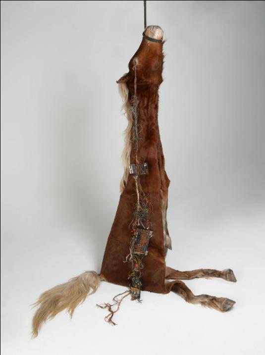 Gloria Friedmann Splendeurs et extinction de la nature