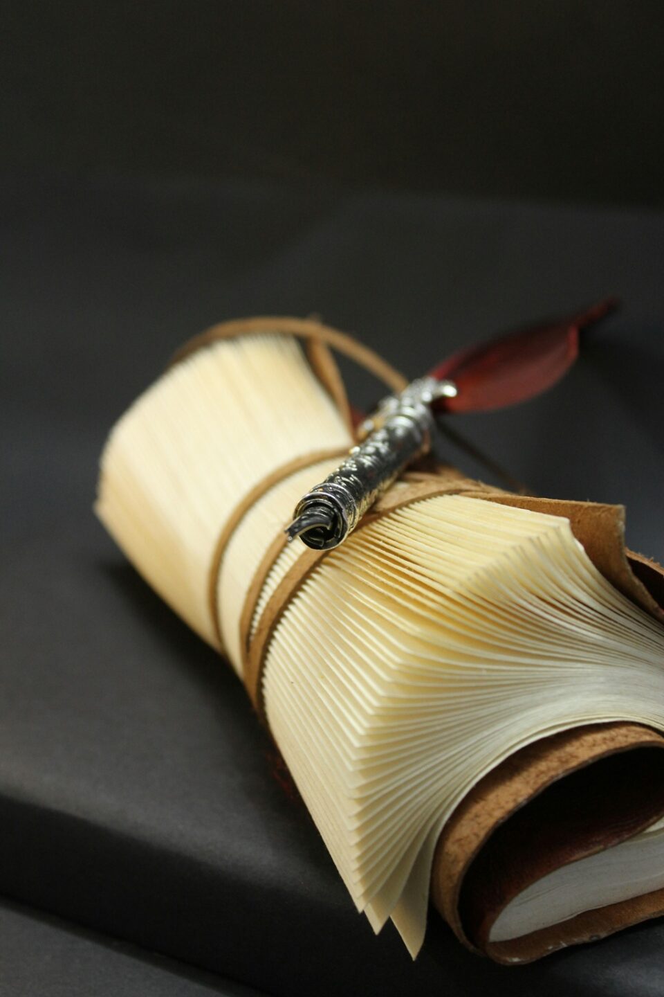 GOTAINER RAMÈNE SA PHRASE 1 Avenue Lavoisier Toulouges 2026-02-28 GOTAINER RAMÈNE SA PHRASE