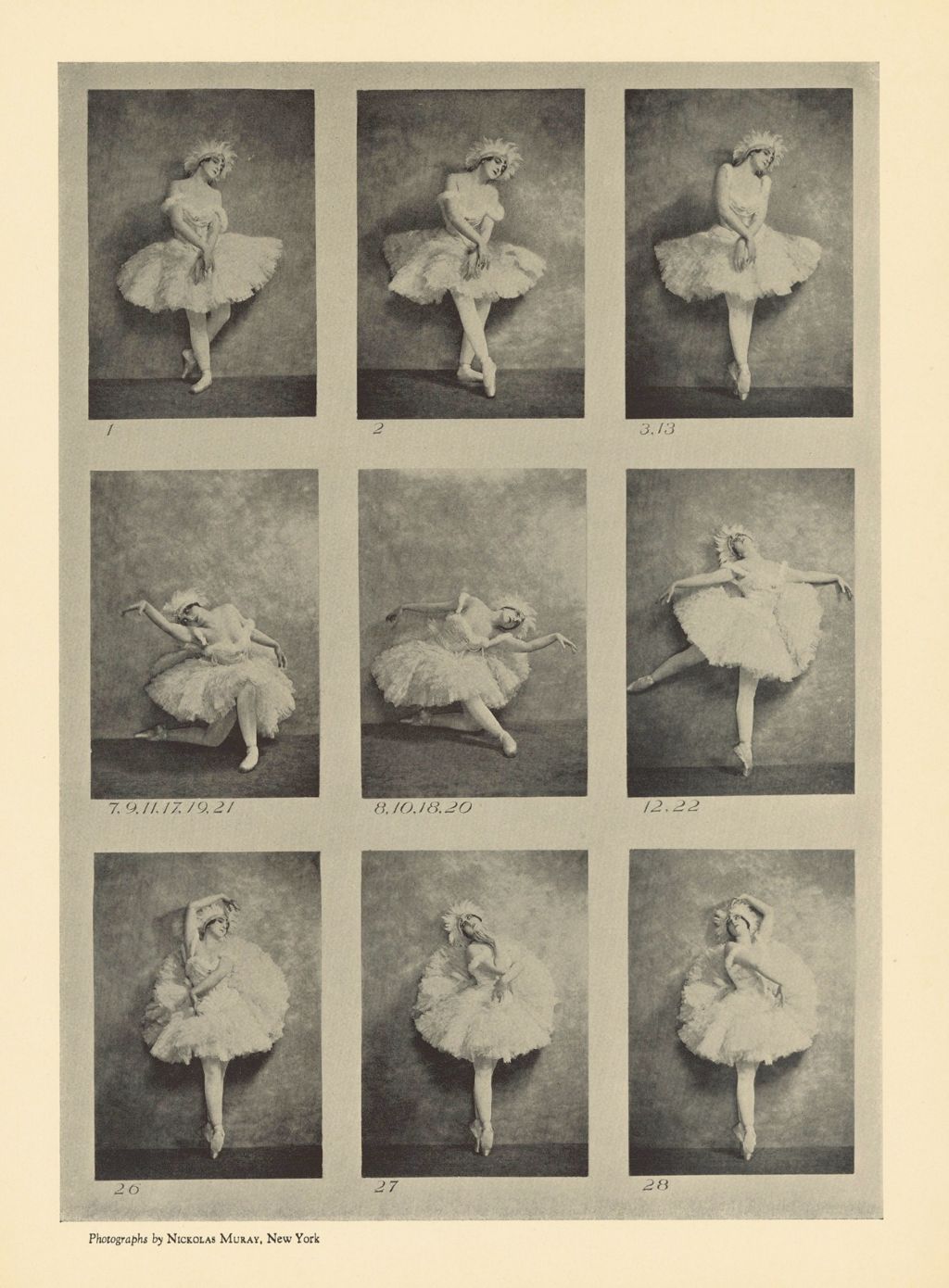 Graines de moutards au Musée Champollion