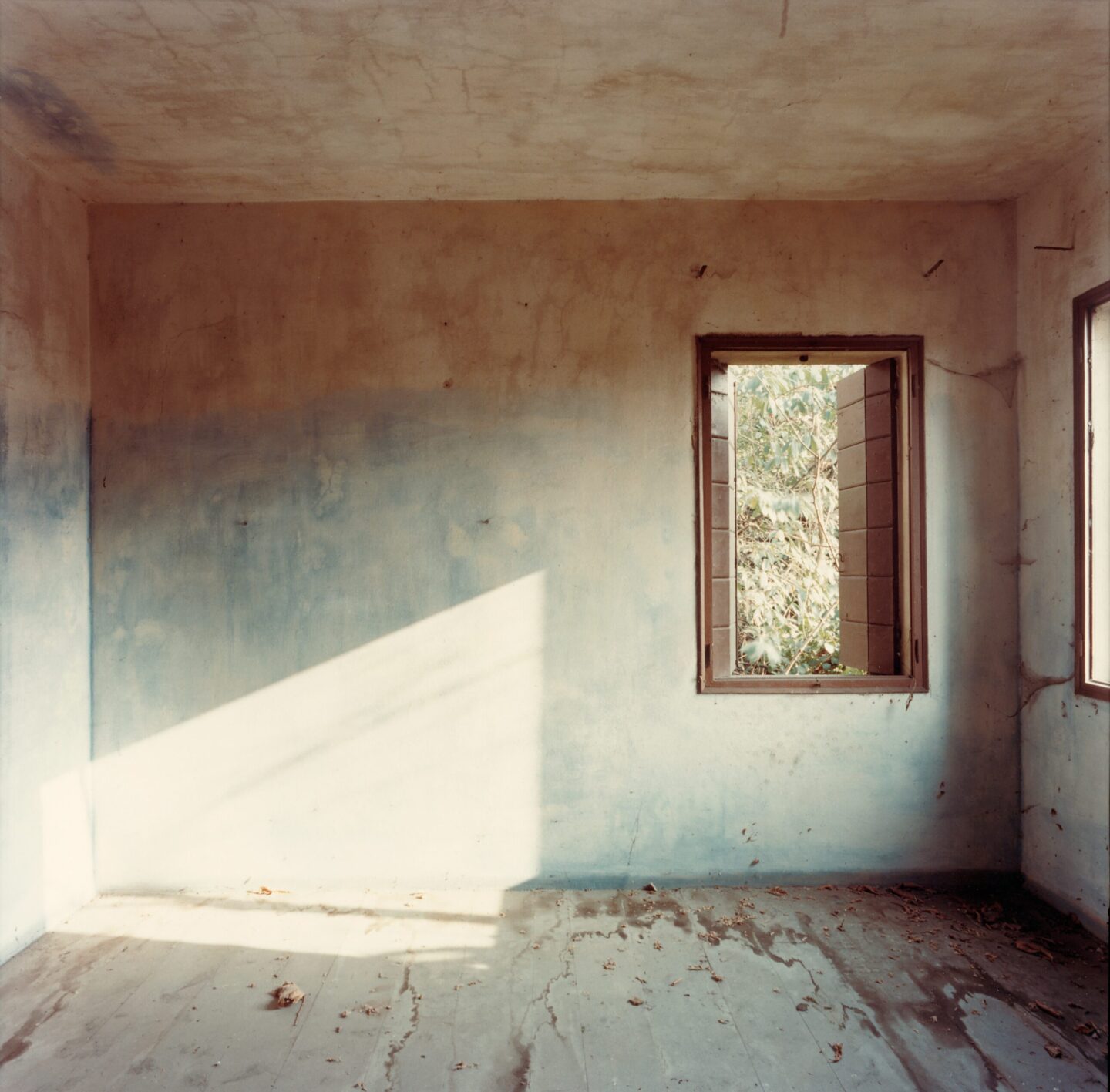 Photographie de Guido Guidi.