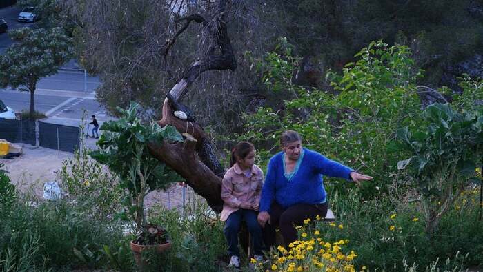 HISTOIRES DE LA BONNE VALLÉE | Rencontre avec le réalisateur José Luis Guerín Cinémas Le Méjan (Actes Sud) Arles