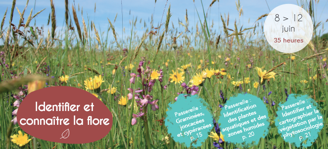 identifier et connaître la flore Lureuil 2026-06-08 identifier et connaître la flore
