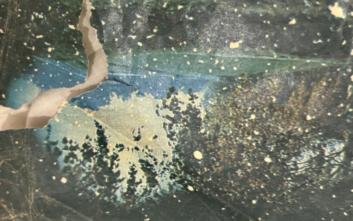 In the Half-Light - Avec les lauréats du programme In Situ Cité internationale des arts Paris