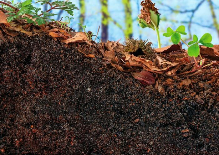 Jardiner au naturel à Bordeaux (Maison du Jardinier) Maison du jardinier et de la nature en ville Bordeaux