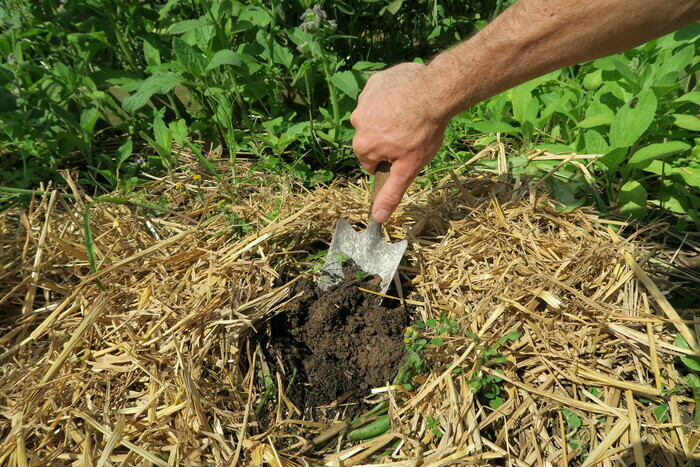 Jardinons ! Atelier "Travail du sol et outils manuels" Parc Naturel Urbain du Champ des Bruyères Saint-Étienne-du-Rouvray