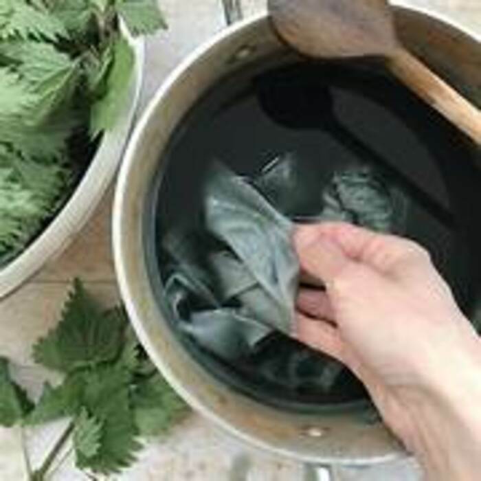 Jardinons ! Initiation à la teinture végétale Maison du parc Saint-Étienne-du-Rouvray