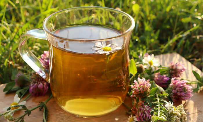 Jardinons ! Utiliser les plantes aromatiques du jardin en tisanes et en cuisine Maison du parc Saint-Étienne-du-Rouvray