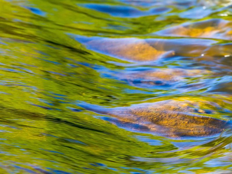 JEMA Rencontre entre le feu