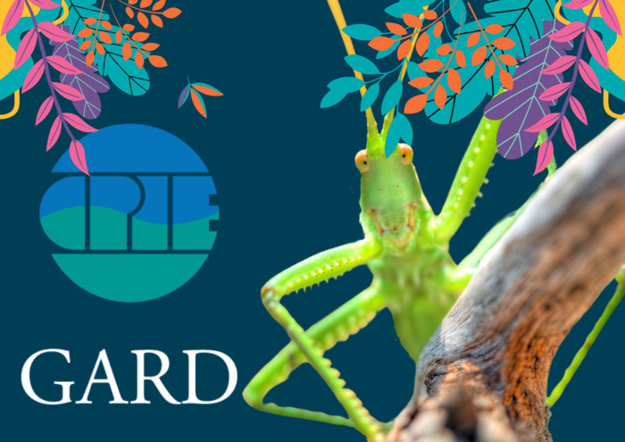 Jeudi de la Guinguette Le Cratère à la Prairie Alès Jeudi de la Guinguette Le Cratère à la Prairie Alès