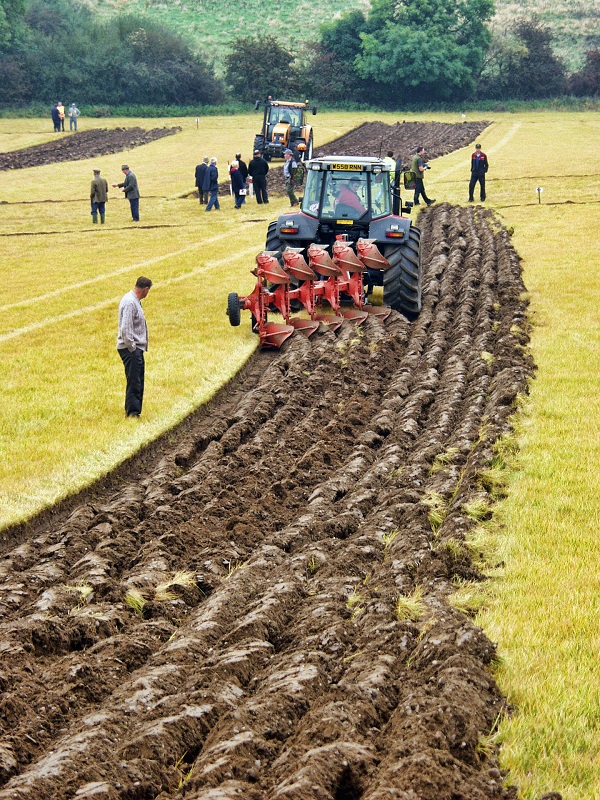 Journée agricole concours de labour