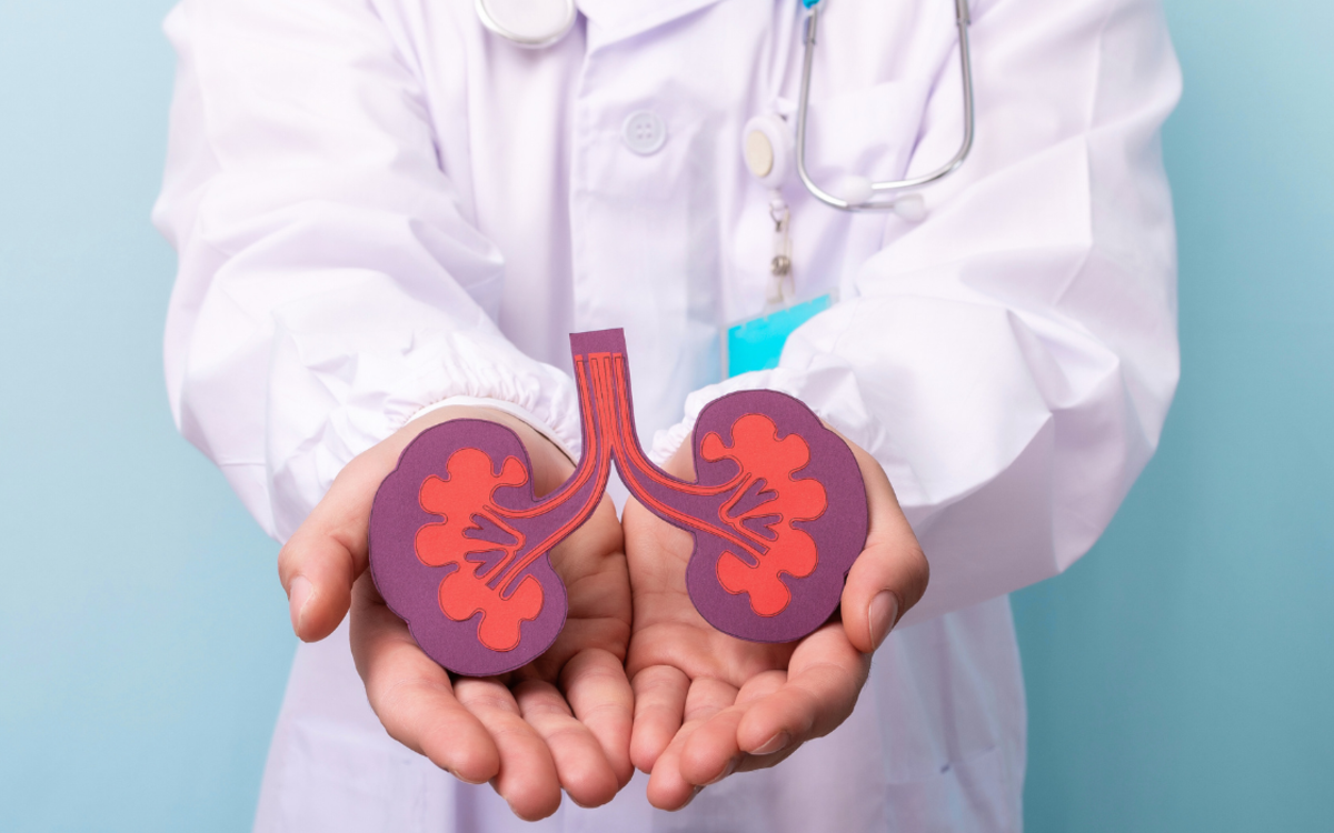 Journée de dépistage des maladies rénales à l'IMM IMM  Paris