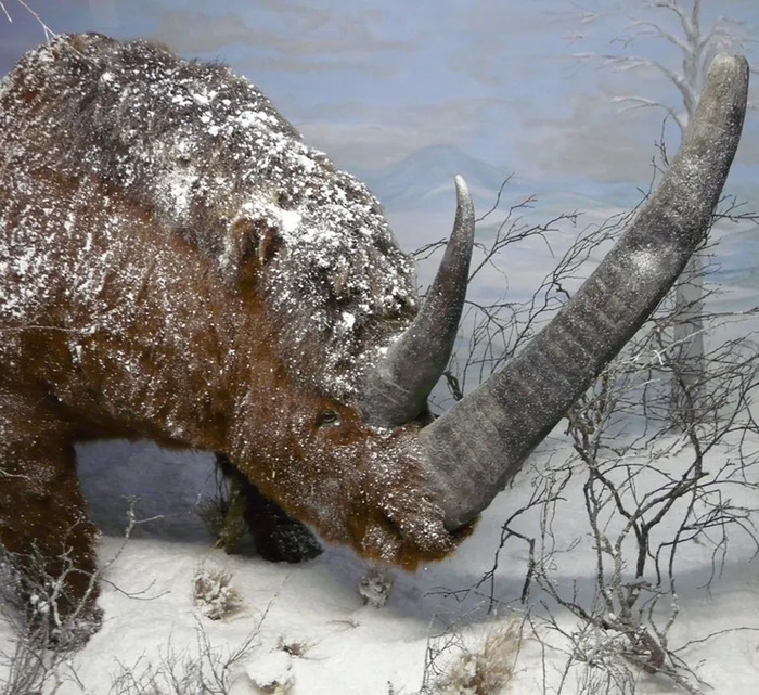 Journées européennes du patrimoine Préhistorama Rousson