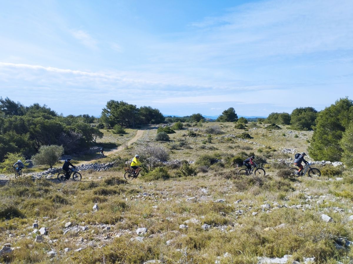 LA BARBEROULE RANDONNÉE VTT