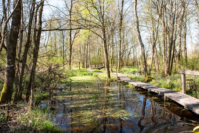 La boucle du marais Devant l'espace culturel du Houlme